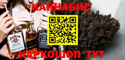 индика Абакан