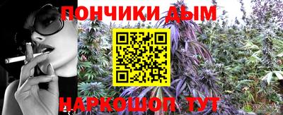 индика Абакан